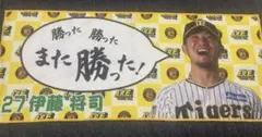 阪神タイガース　伊藤将司 勝った勝ったまた勝った！　シークレットタオル