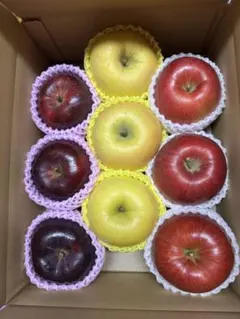 きょん様専用ページ　3種詰め合わせ 専用出品