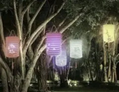 Item thumbnail for item 702e7bd5-0a63-43b9-99fc-6ef365460b95