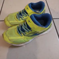 Item thumbnail for item b256d45f-b54c-4364-b7bc-d70ca0ade075