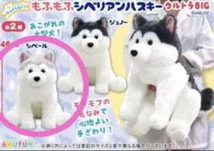 2026年最新】シベリアンハスキーぬいぐるみの人気アイテム - メルカリ