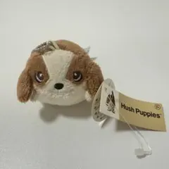 ハッシュパピー新品