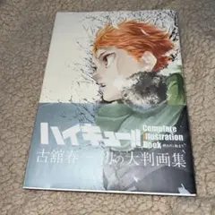 ハイキュー!! Complete Illustration Book