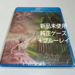 Item thumbnail for item e2daff6e-8edc-4c60-be72-5afafe5a2de1