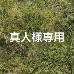 Item thumbnail for item 3ca2d731-4c19-4c4c-93ae-702685554421