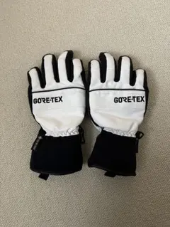 Item thumbnail for item 2ff1b4c0-8a0d-4c8b-aabb-a8cb27c3d372