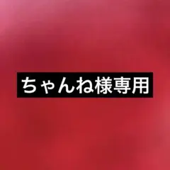【ちゃんね様専用】