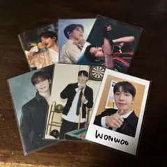SEVENTEEN ウォヌ　トレカ