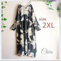 ワンピースボタニカル