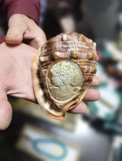 シェルカメオ 彫刻 置物 インテリア
