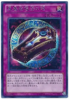 スカイウォーカー様 リクエスト 2点 まとめ商品