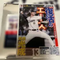 埼玉西武ライオンズ 高橋光成 投手 獅子スポ シークレットトレカ