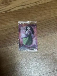 HUNTER×HUNTER イタジャガ　アルカ