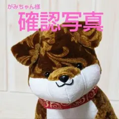 がみちゃん様確認写真　金華山ローレルゴールド子犬中サイズのサムネイル