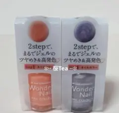 pa ワンダーネイル ディアローラ 2本セット 3COINS スリーコインズ