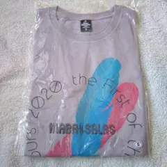 Item thumbnail for item 3d597e61-681e-4379-859e-3c51bb745954