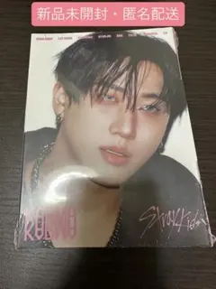 【新品未開封】straykids スキズ KARMA アコーディオン チャンビン