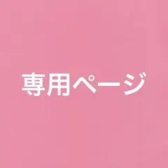 専用ページ