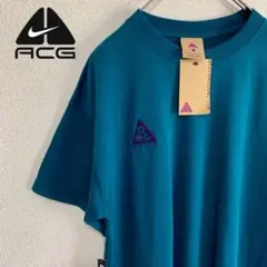 NIKE ACG ワンポイント　ロゴ　刺繍　Tシャツ　XS 未使用