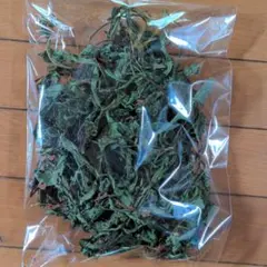 Item thumbnail for item 2ec3bbf7-1d86-4d1a-8456-4df5076d6bc7