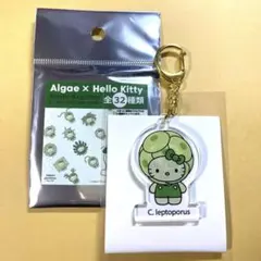 ちぃー様 リクエスト 10点 まとめ商品