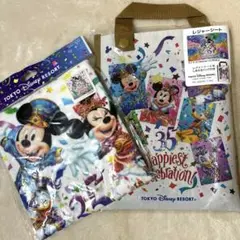 【新品】ディズニーリゾート　35周年　ウォッシュタオル＆レジャーシート