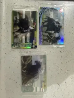 サラブレッドホースコレクション