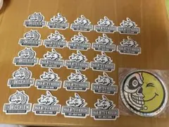 マンウィズアミッション 甲子園限定紙吹雪 WANIMAデカ缶バッジ