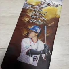 東京ヤクルトスワローズ 長岡秀樹 ペットボトルカバー ② - メルカリ
