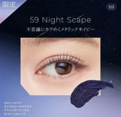 【限定色】新品　ヒロインメイク/ロング＆カールマスカラ/59 ナイトスケープ