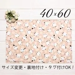 【もふもふシマエナガ ランチョンマット40×60】小鳥柄 女の子 給食用ナフキン