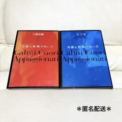 美品‼️ 冷静と情熱のあいだ 辻仁成　江國香織　2冊セット　まとめ売り