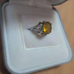 Item thumbnail for item 9d369e11-caa0-412a-a77b-a0627216ec12