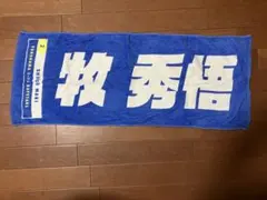 Item thumbnail for item 1f1ac655-eaa1-401c-a436-e8195ab4ac62