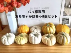 むぅ様専用　ハロウィン⭐︎おもちゃかぼちゃ9個セット　観賞用