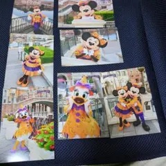 ディズニーシー 2024年 ハロウィン 写真