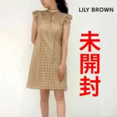【新品 未使用】LILYBROWN 配色レースミニワンピース