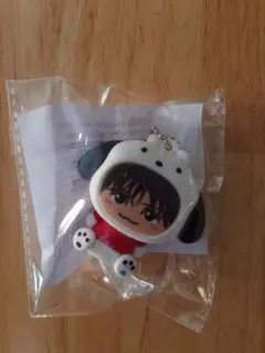 岩田剛典 着ぐるみキーホルダー パンダ 中古】雑貨 岩田剛典(三代目 J SOUL BROTHERS) パンダ着ぐるみ