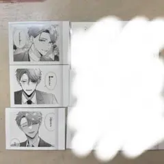 踏んだり、蹴ったり、愛したり 踏み愛 ぱしゃこれ まとめ売り
