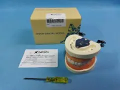 【新品未使用】ニッシン デンタルモデル 新品未使用】ニッシン デンタルモデル 2025年最新】顎模型 ニッシンの