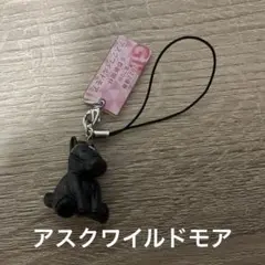 アスクワイルドモア　2022 京都新聞杯　アイドルホースガチャ