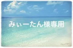 みぃーたん様専用