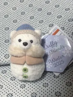 ダッフィー　シークレットオブスノーウィーデイ