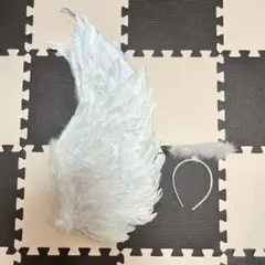 白鳥胸羽、スカート羽 - メルカリ