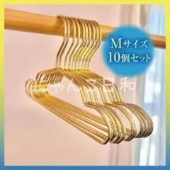 ペット用ハンガー ミニハンガー 10本セット 20cm ゴールド 猫 犬 ペットのサムネイル