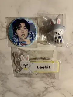 straykids スキズ サウナ dominATE skzoo リノ セット