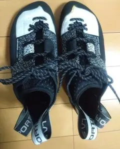 Item thumbnail for item 20e786cb-81e1-4530-98e3-2bd5697e9a03