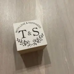 Item thumbnail for item bb90917a-e343-44c2-a6ee-8fd58f96f3f4