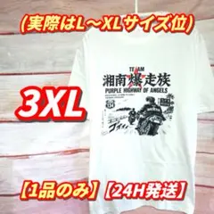新品未使用 湘南爆走族 Tシャツ ホワイト L コットン100% バイカー