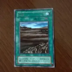 Foil】沼/Swamp (ICE版アリーナFoilランド)英語版1枚 - メルカリ